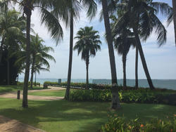 The Berth By The Cove (D4), Condominium #122374172